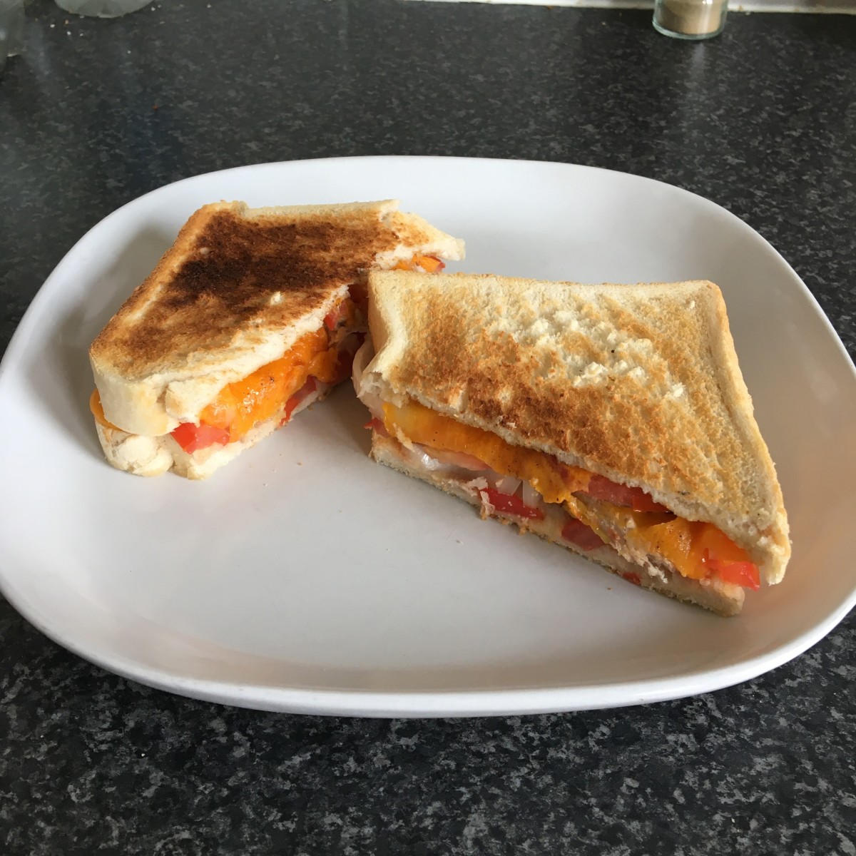 Pheasant, cheese, tomato and onion toastie