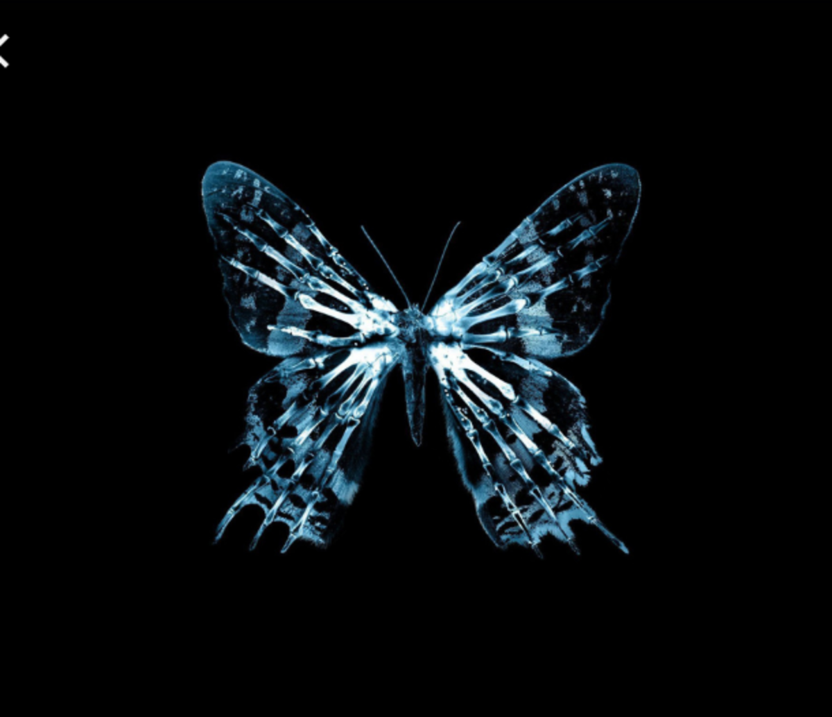 Butterfly Effect: Three Amazing Interactive Games