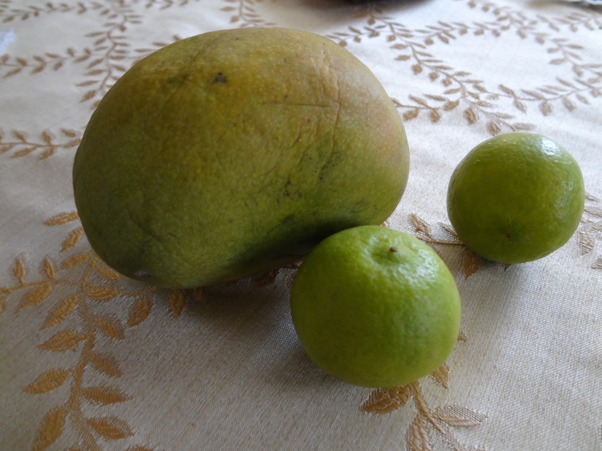 Mango and Key limes