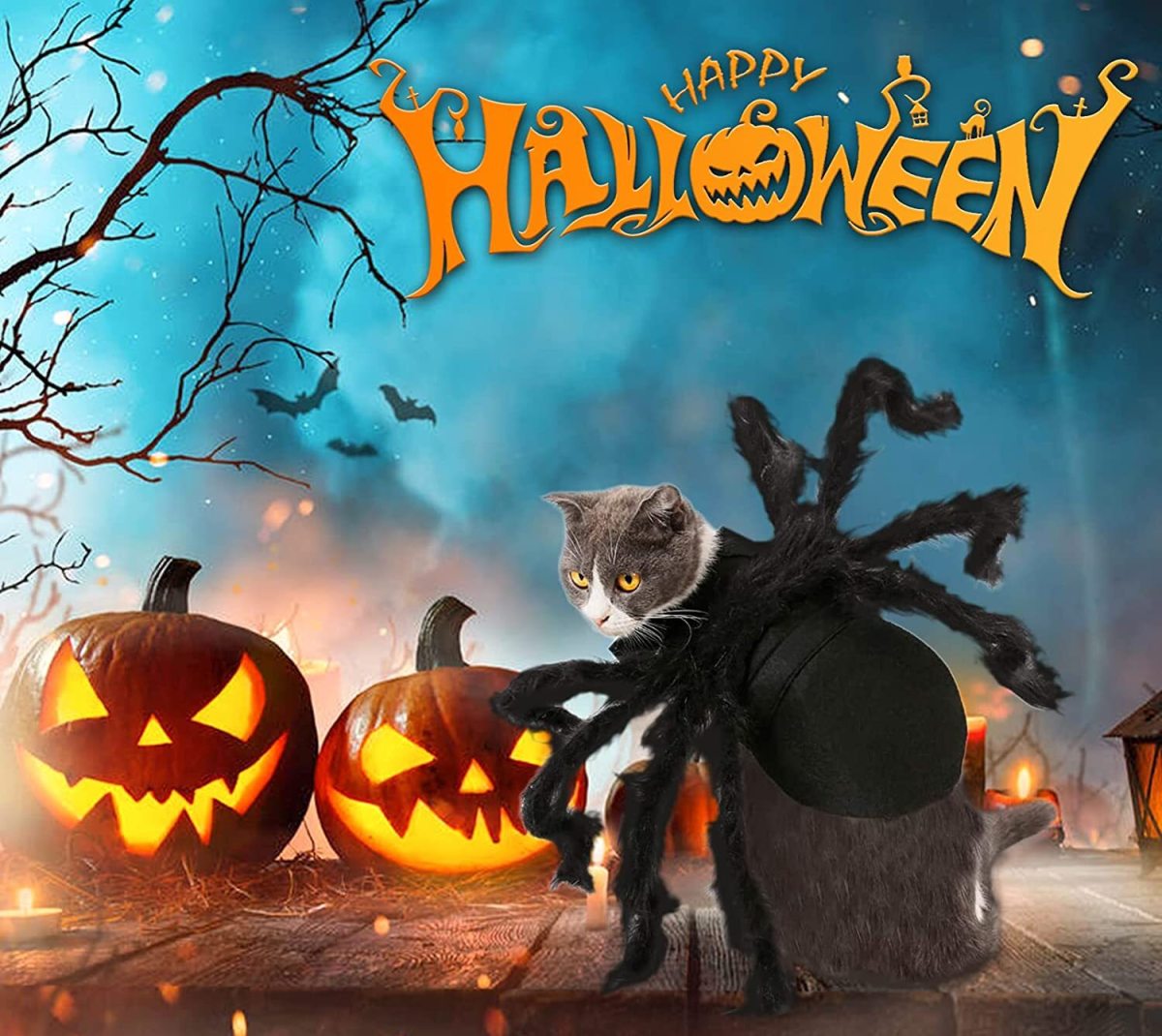 halloween-with-pets-celebrations-outfits-and-gift-ideas-for-pet-lovers