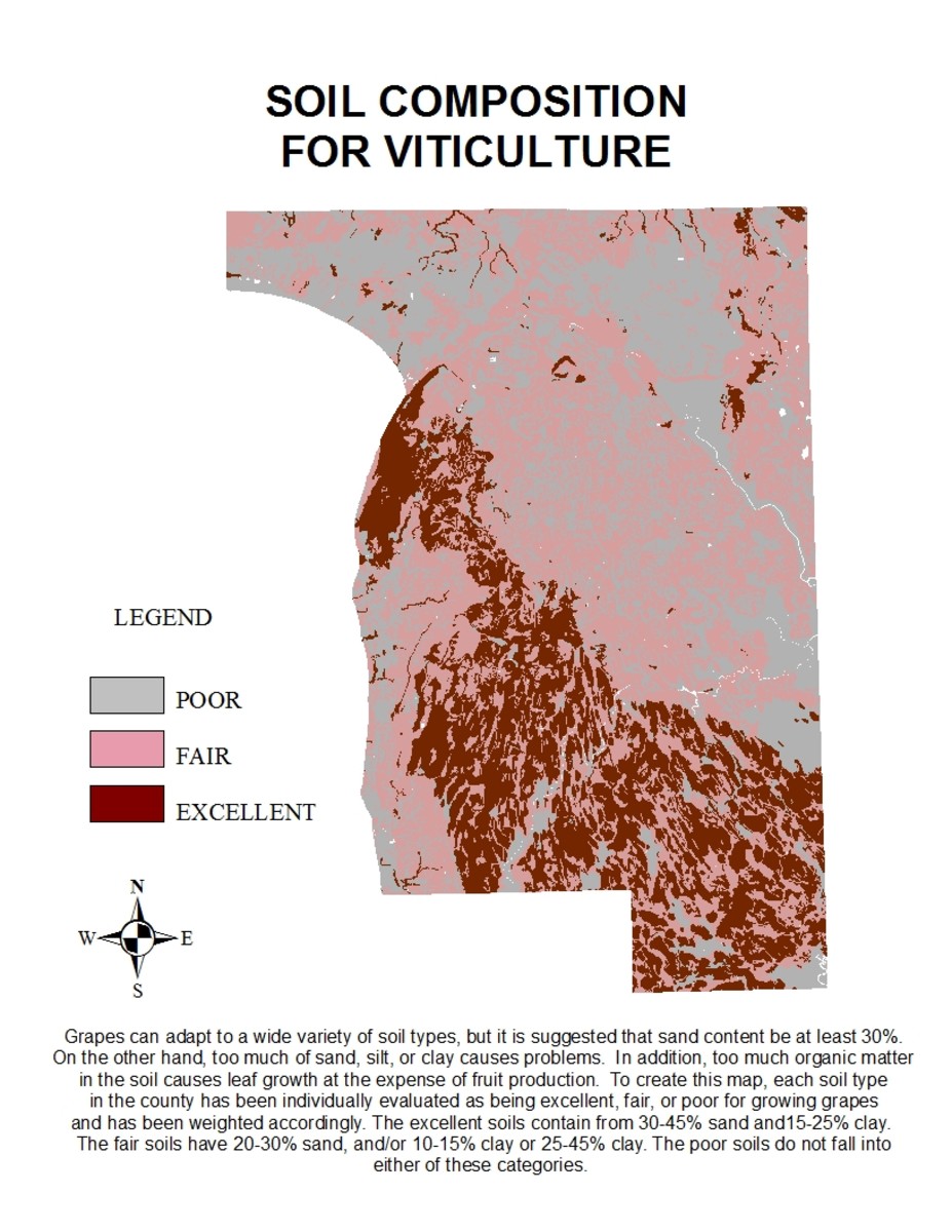 potential-for-commercial-viticulture-in-calumet-county-wi