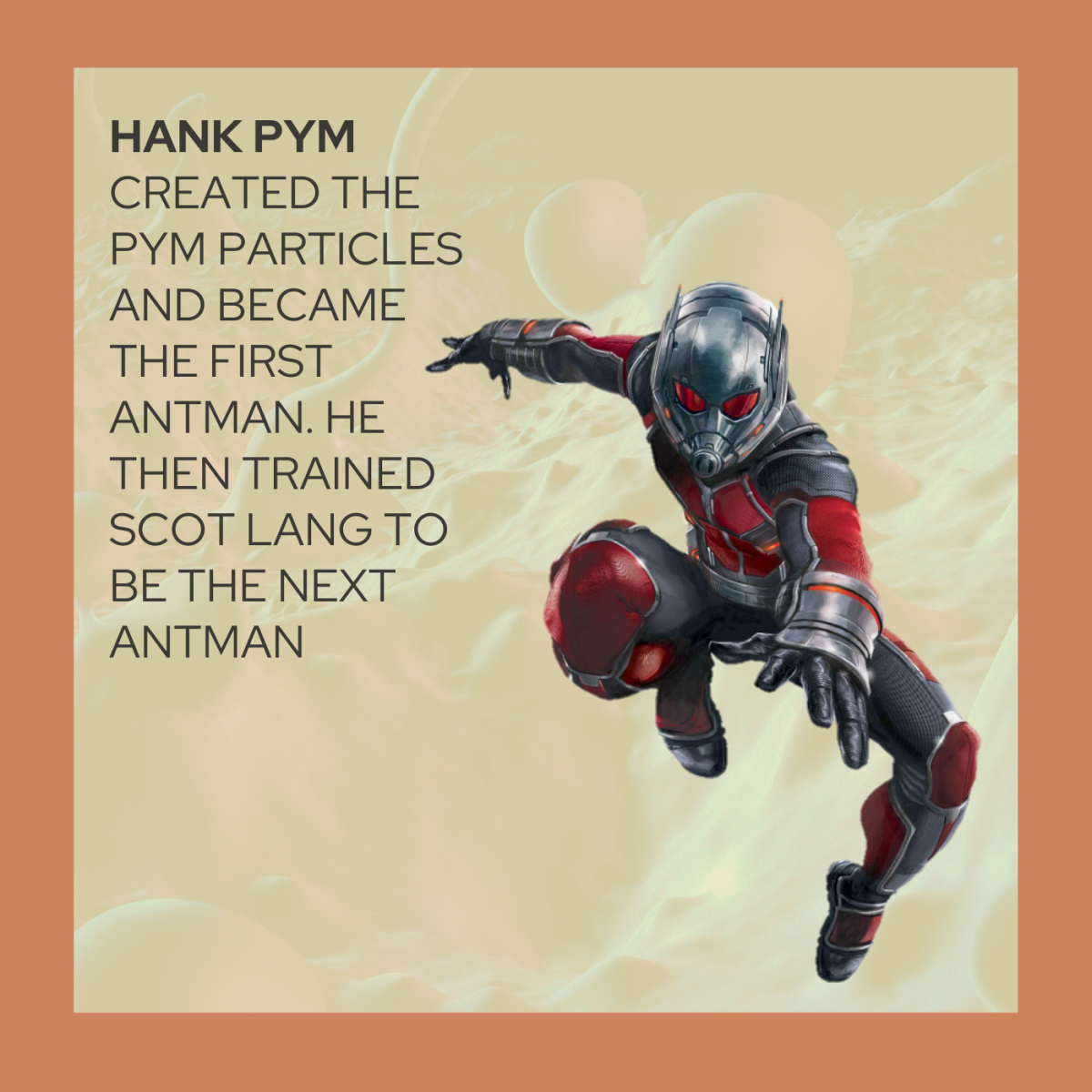 After Scott Lang rob Hank Pym's home with his friends, Hank Pym recruited and trained him on how to use the Antman suit.