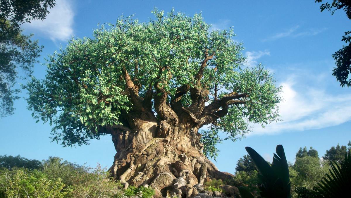 Man's Epic Photobomb at Disney's 'Animal Kingdom' Has People Calling