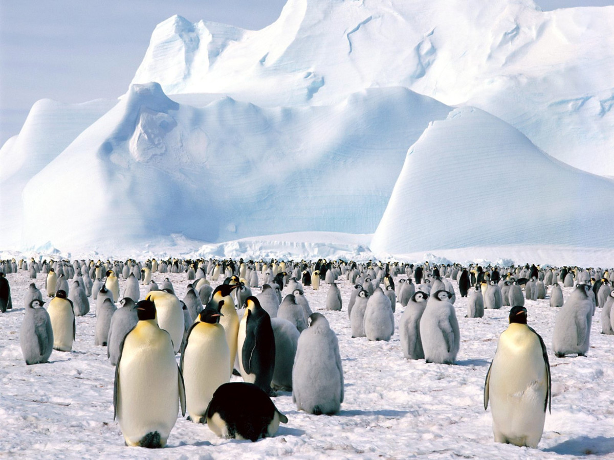 Yes! There ARE Jobs in Antarctica