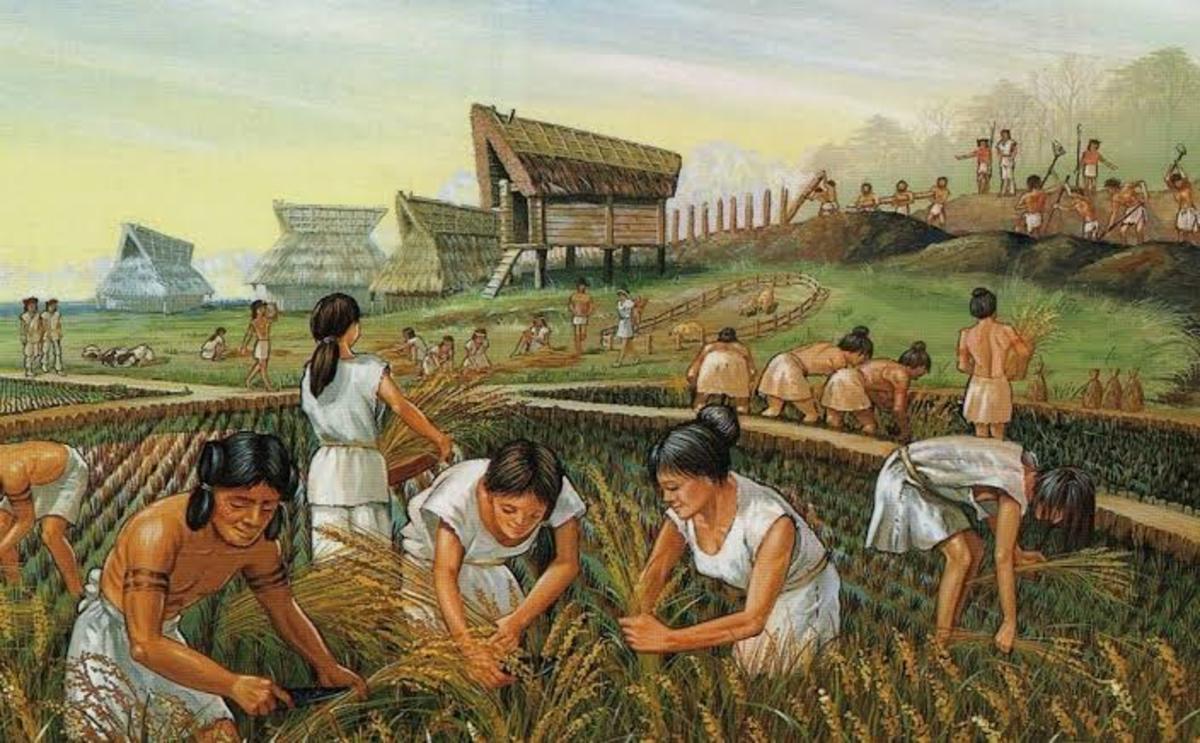 Neolithic agricultural revolution 