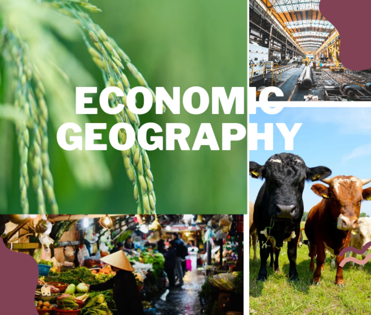 Meaning Of Economic Geography