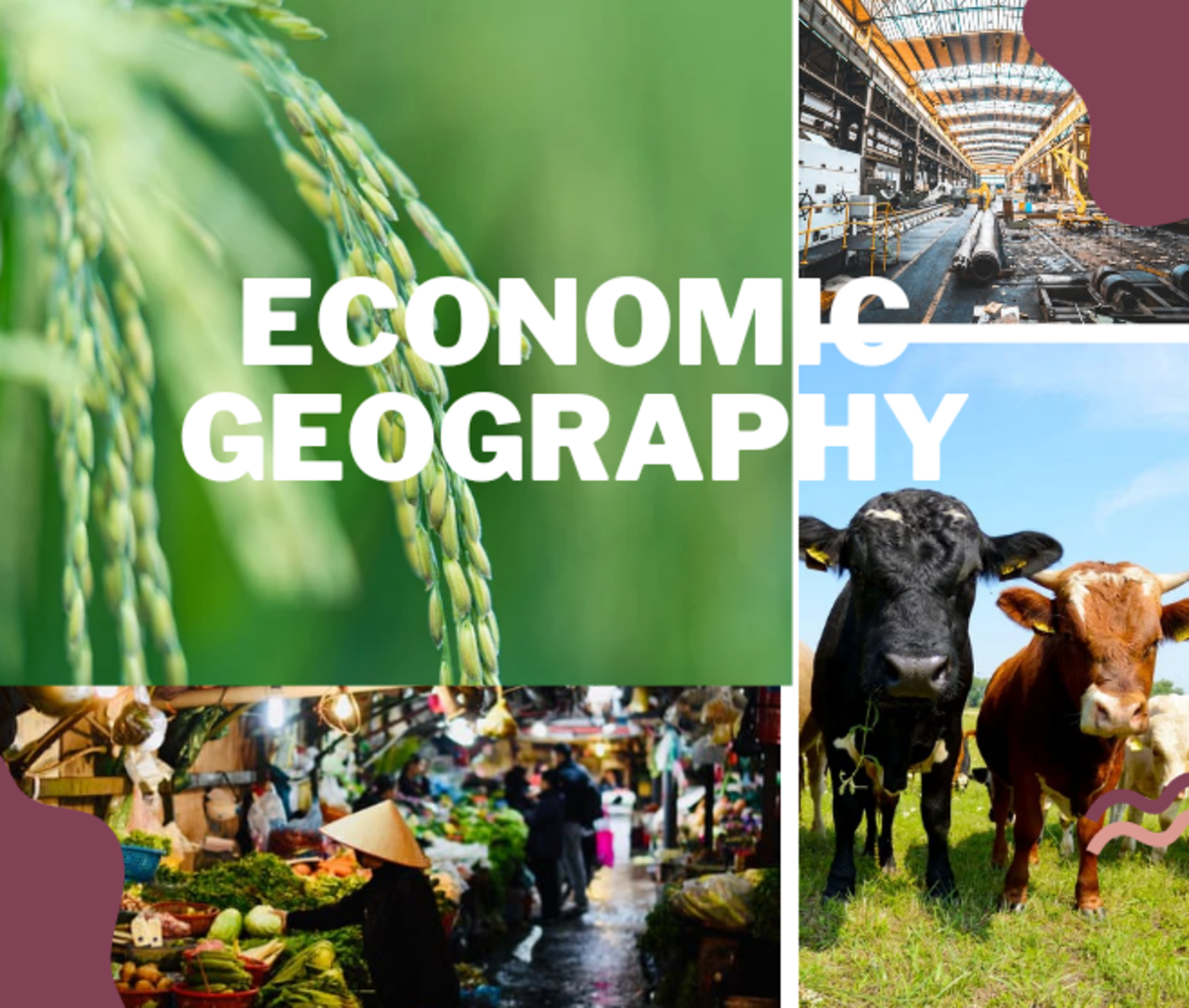 Meaning Of Economic Geography HubPages