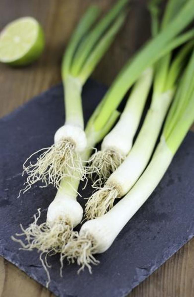 Green onions is a hardy veggie that is ideal for the beginner gardener. Scallions are easy to grow and fast harvesting!