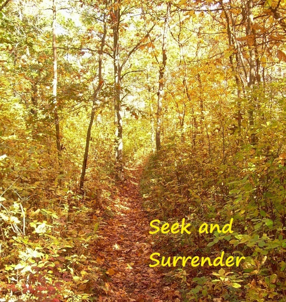 Seek and Surrender