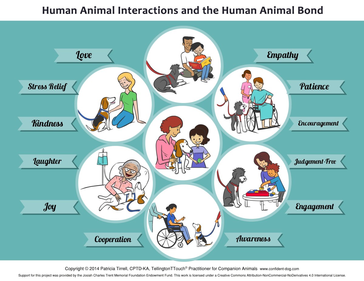 Benefits of the human-animal bond