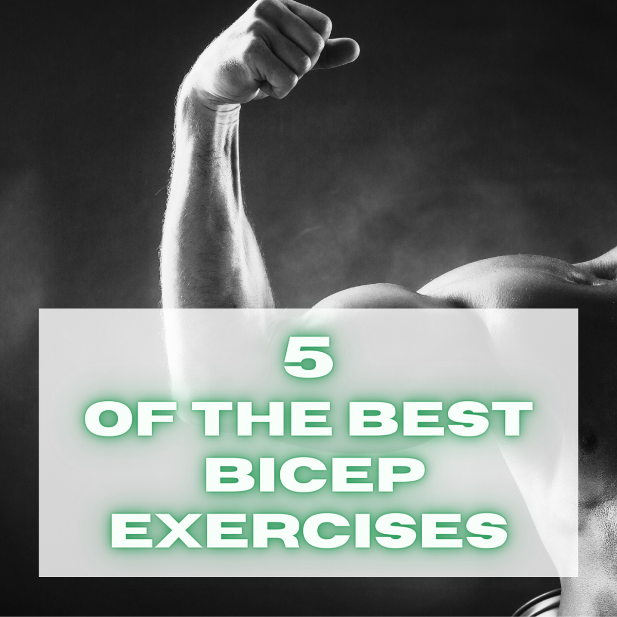 Best 5 Exercises to Build Big Biceps