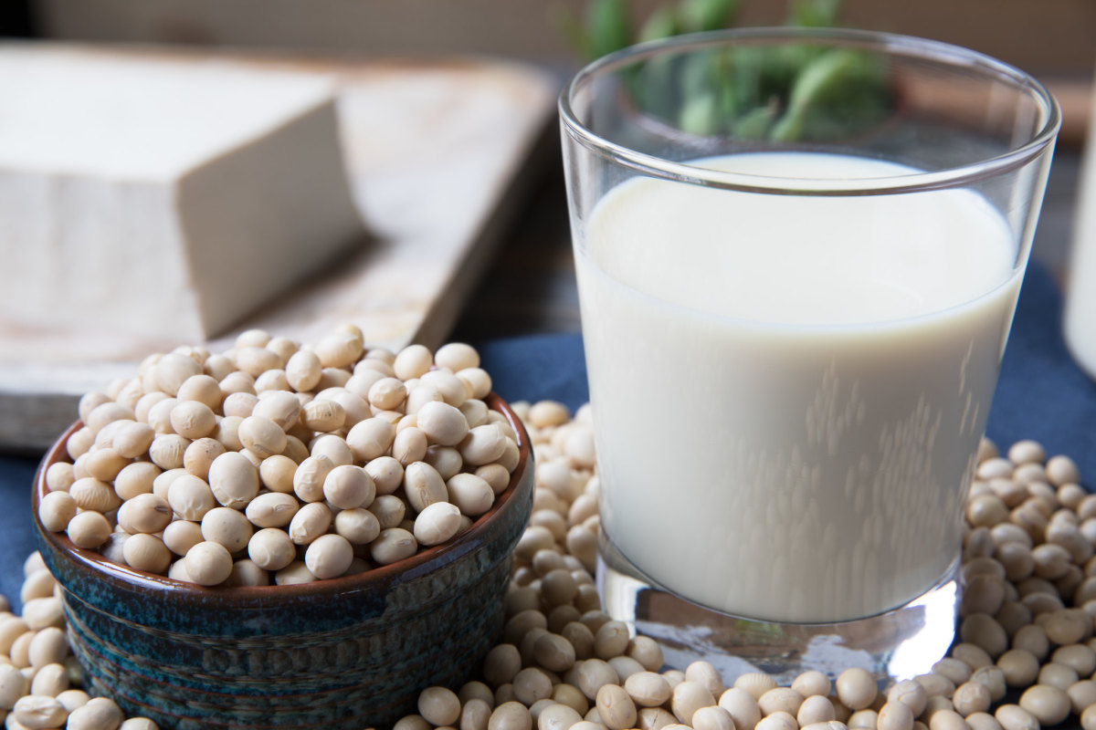 Soy Foods