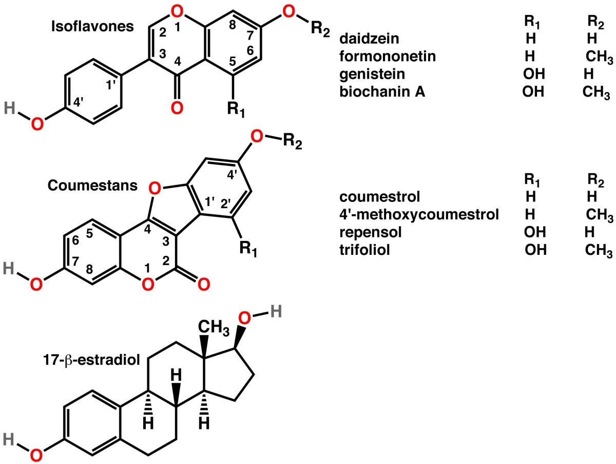 Isoflavone (Top) and Estrogen (Bottom)