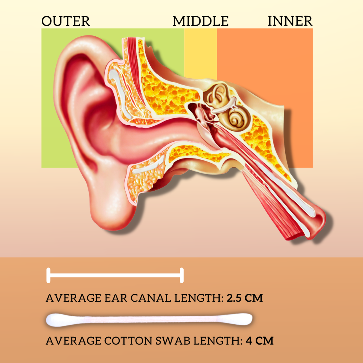 Cotton swabs can easily damage the eardrum by scratching, bumping, or shoving ear wax towards it. 