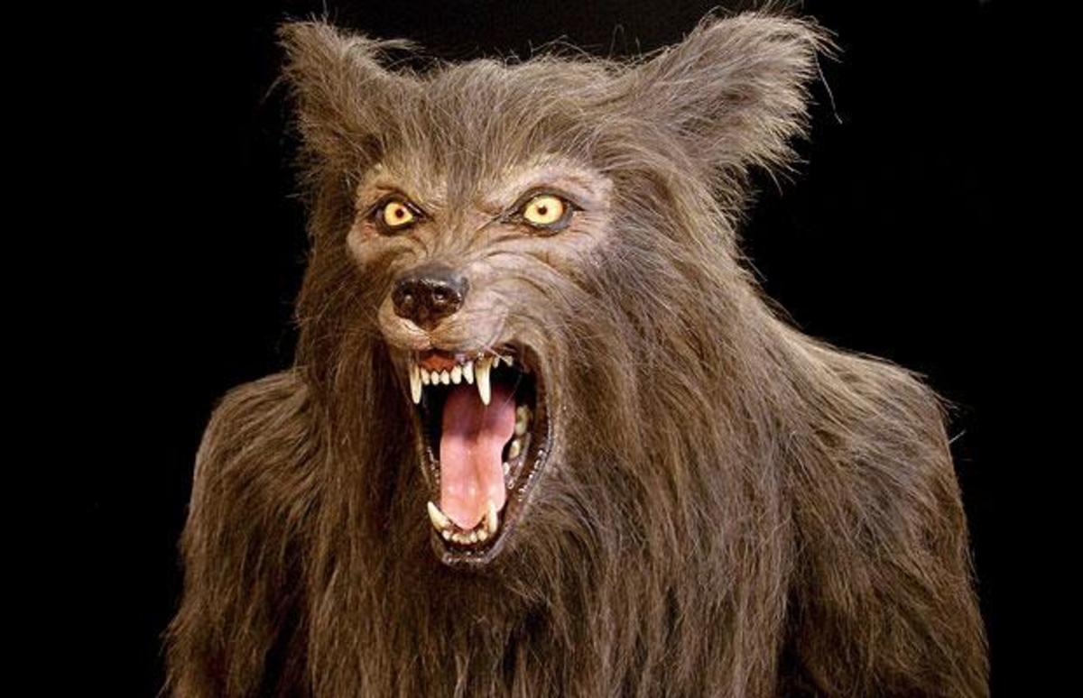 Classic Werewolf Horror Movies : A Parisian Werewolf In New York.