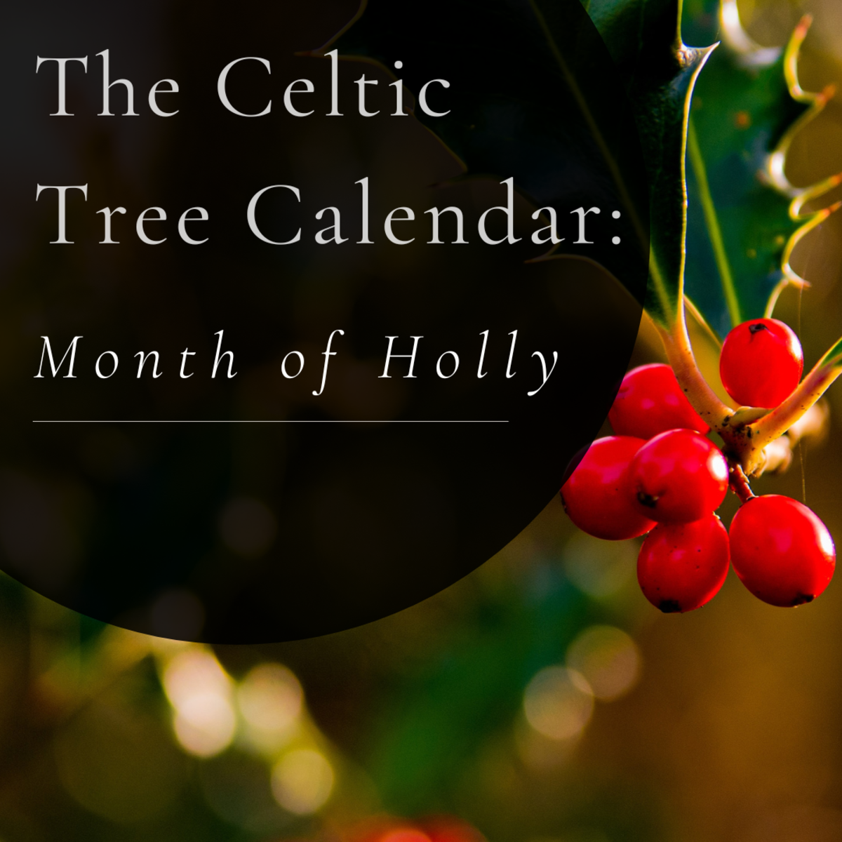 What Is the Celtic Month of Holly?