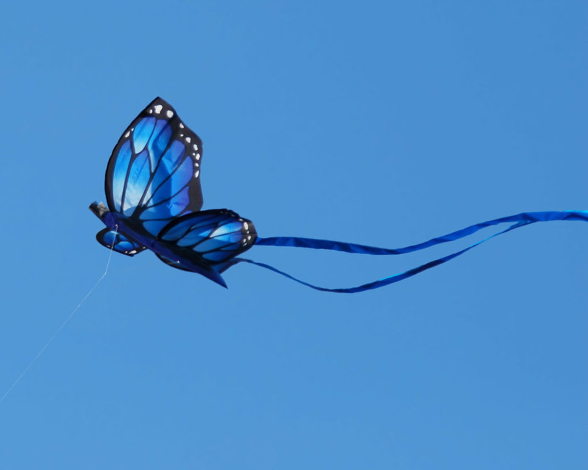 Dreaming Of a Kite HubPages