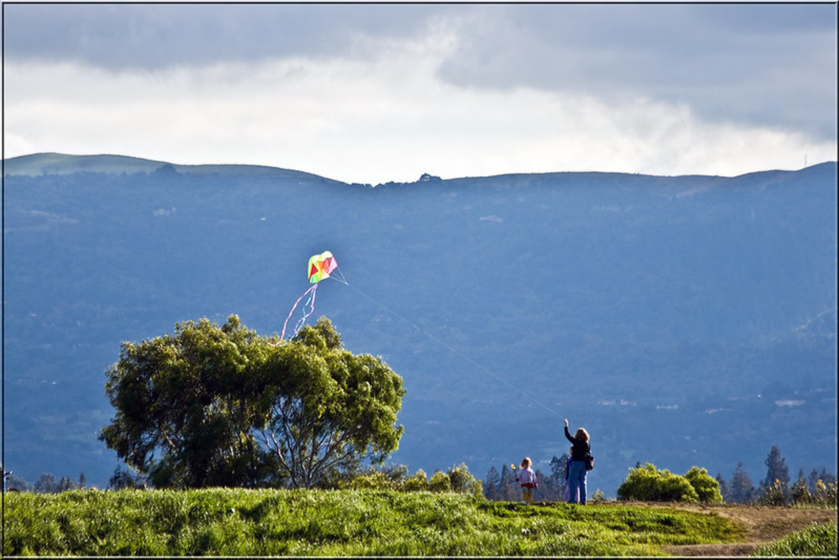 Dreaming Of a Kite HubPages