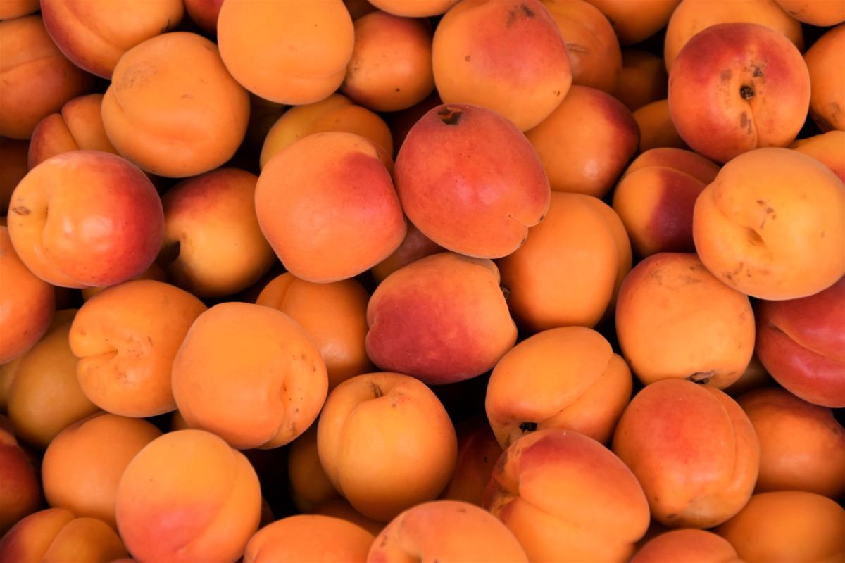  Apricot kernel oil is an excellent skin moisturizer as a carrier oil or even alone.