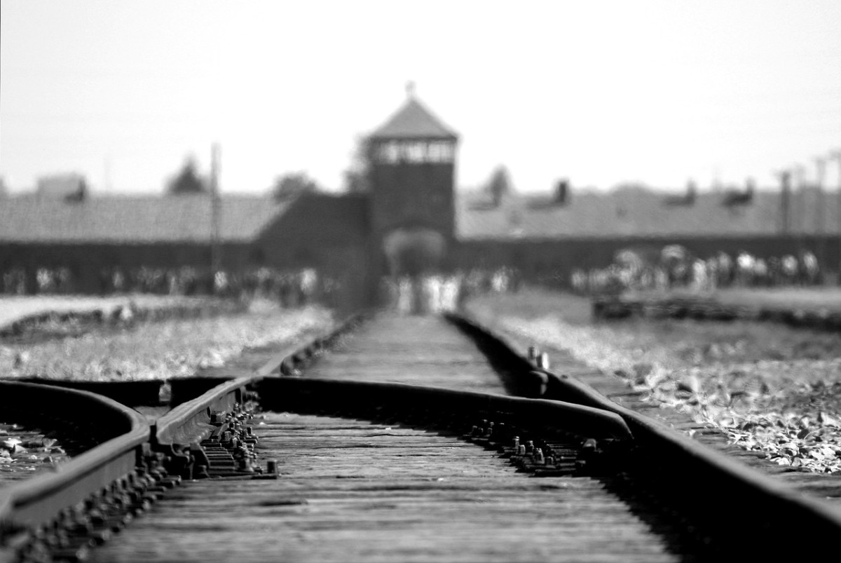 The world was indifferent to the plight of the Jews during the holocaust.