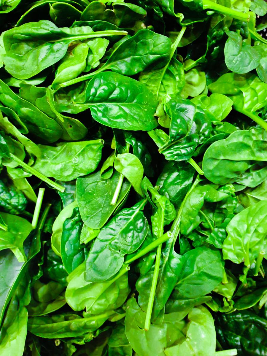 Watercress: The Leafy Green Plant