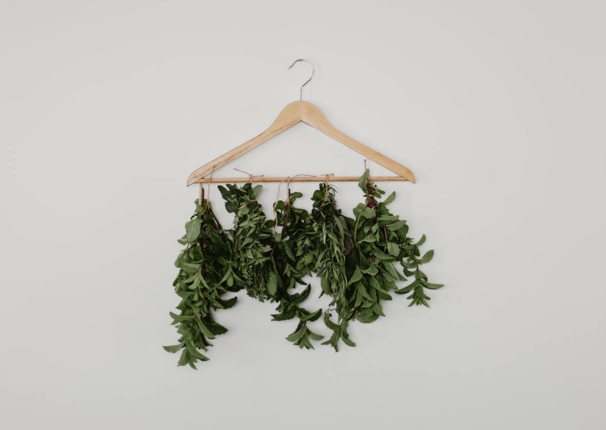 Hang your herbs to dry where they will not be exposed to direct sunlight.