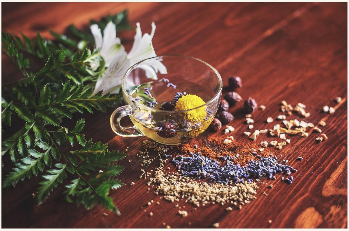 Creating herbal infusions is the easiest way to get into herbalism.