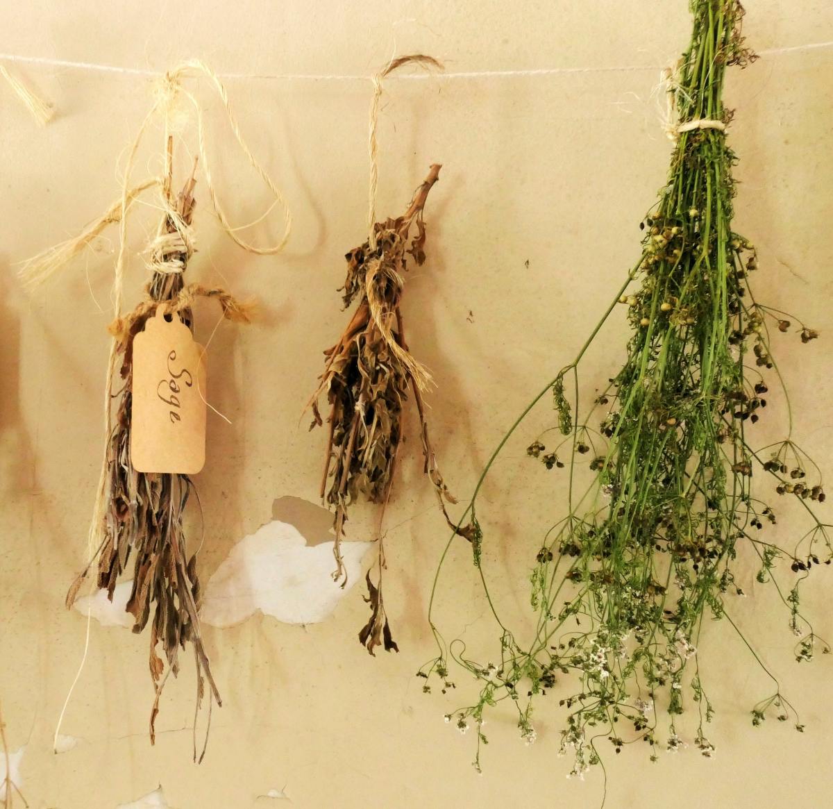 Hanging your plants to dry is perfect for herbs and flowers with long stems.
