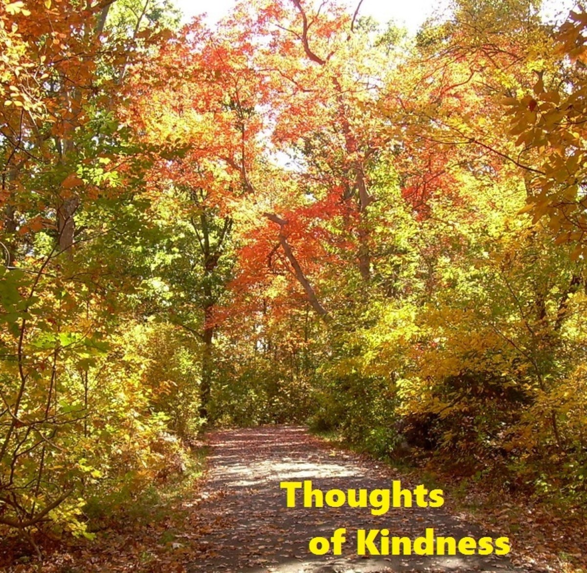 Thoughts of Kindness