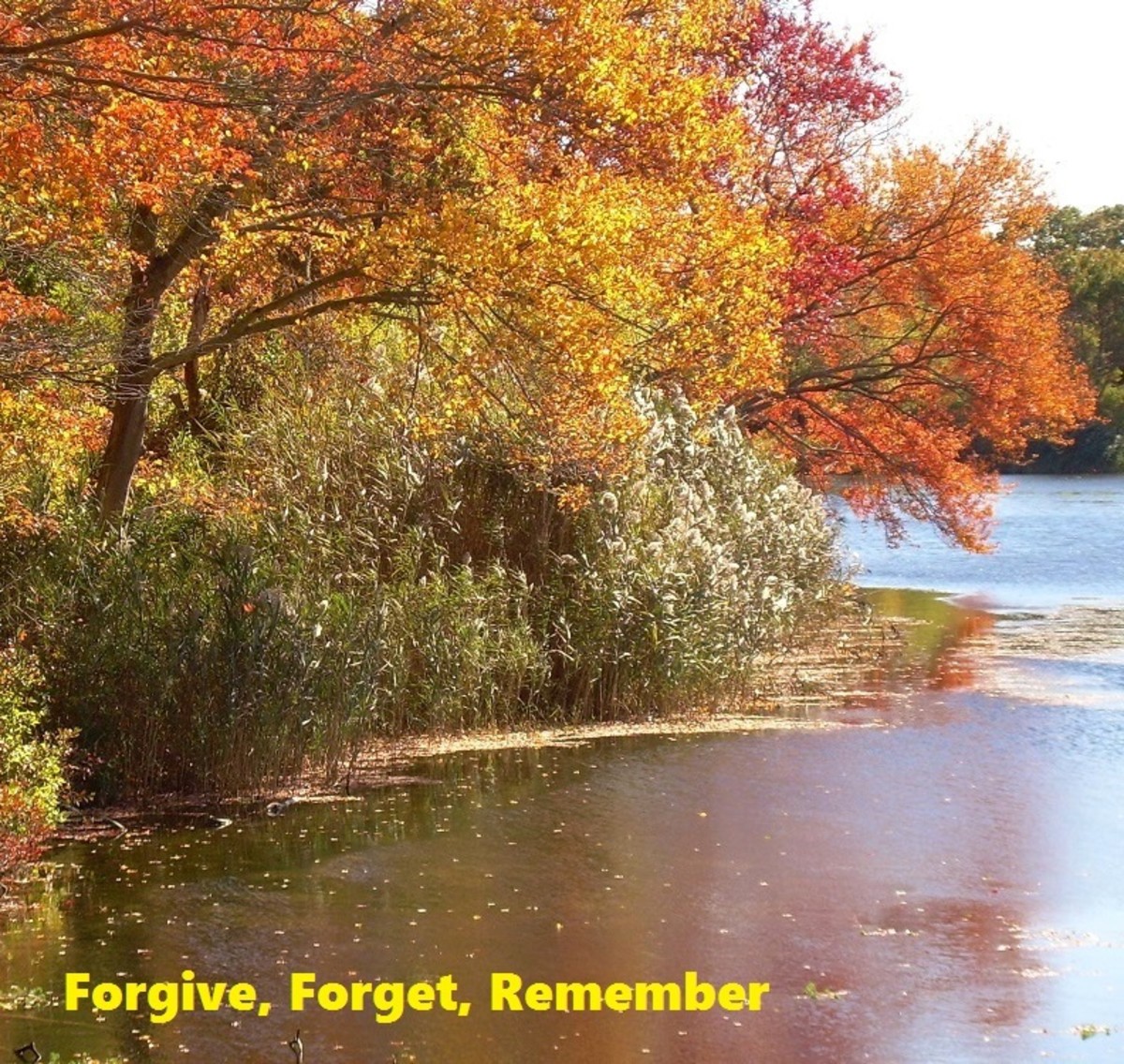Forgive, Forget, Remember