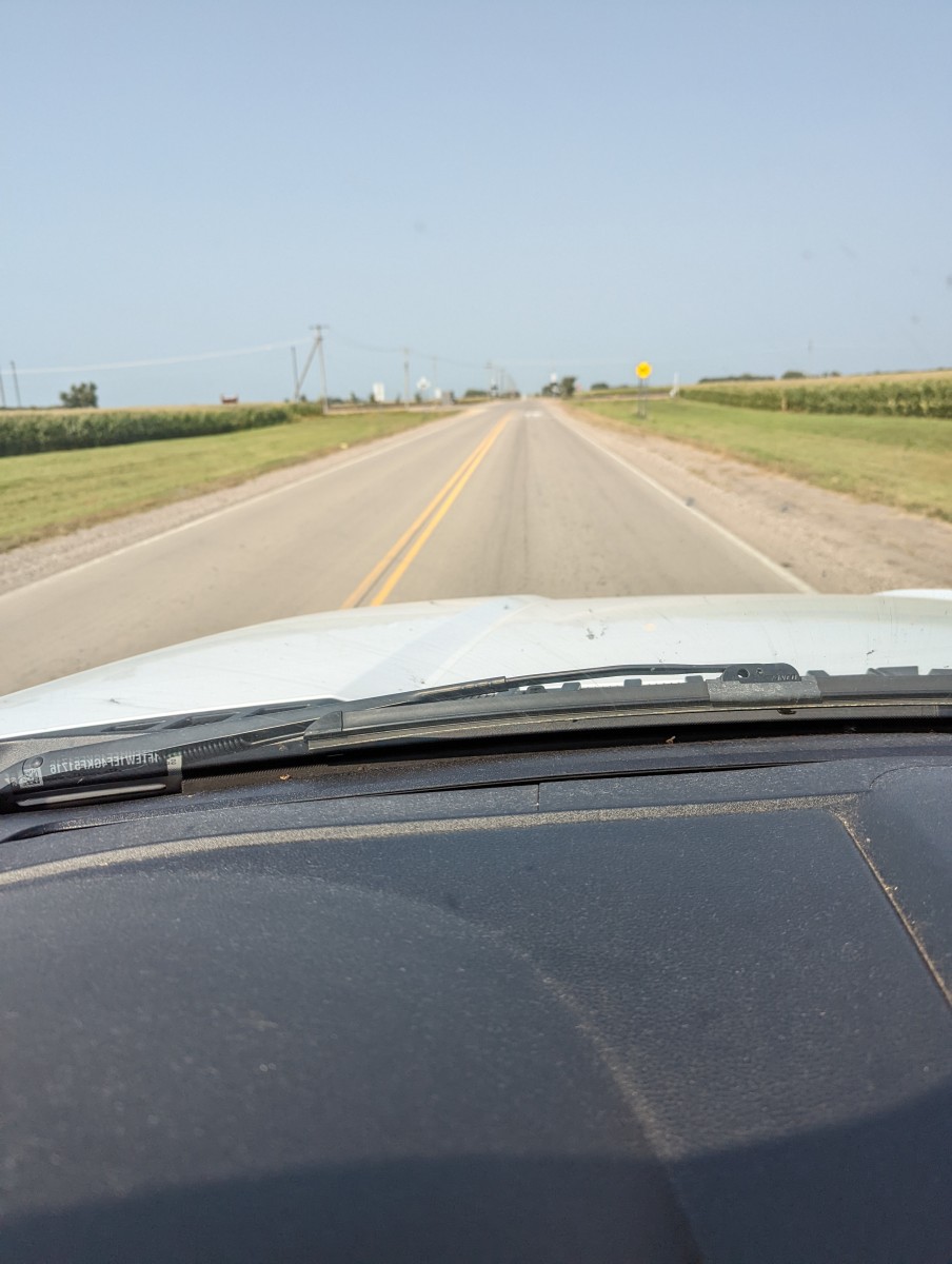 Vet Visit for My Labrador Retriever HubPages