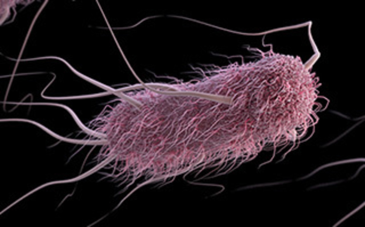 Lady Escherichia Coli, all in pretty in pink, showcasing an alluring coif, disguising her true facist character. Look closely and you will see that she has no face!  