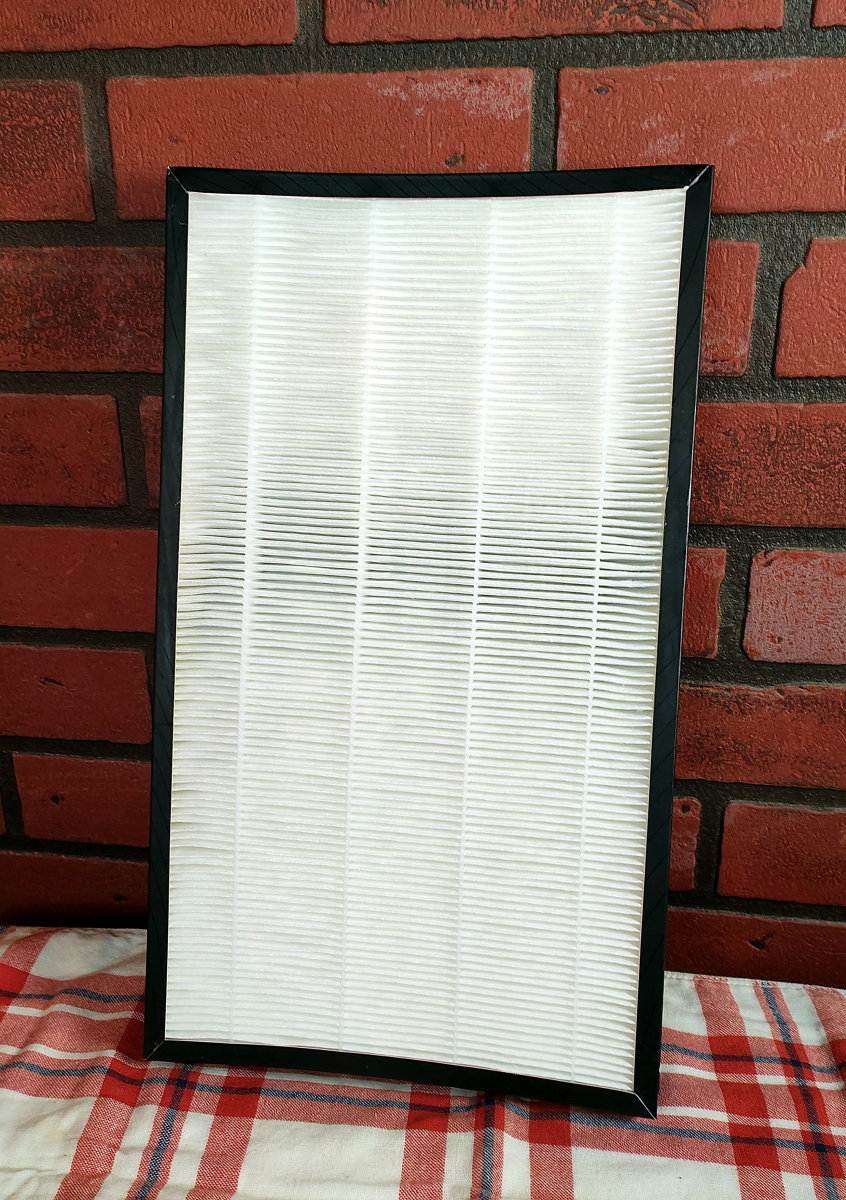 The Toshiba Air Purifier for Large Rooms A Review Dengarden