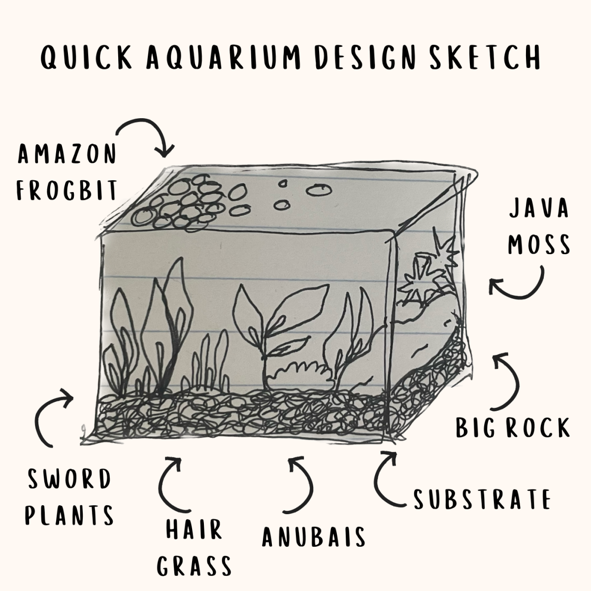 Top 145+ sketch fish tank drawing super hot