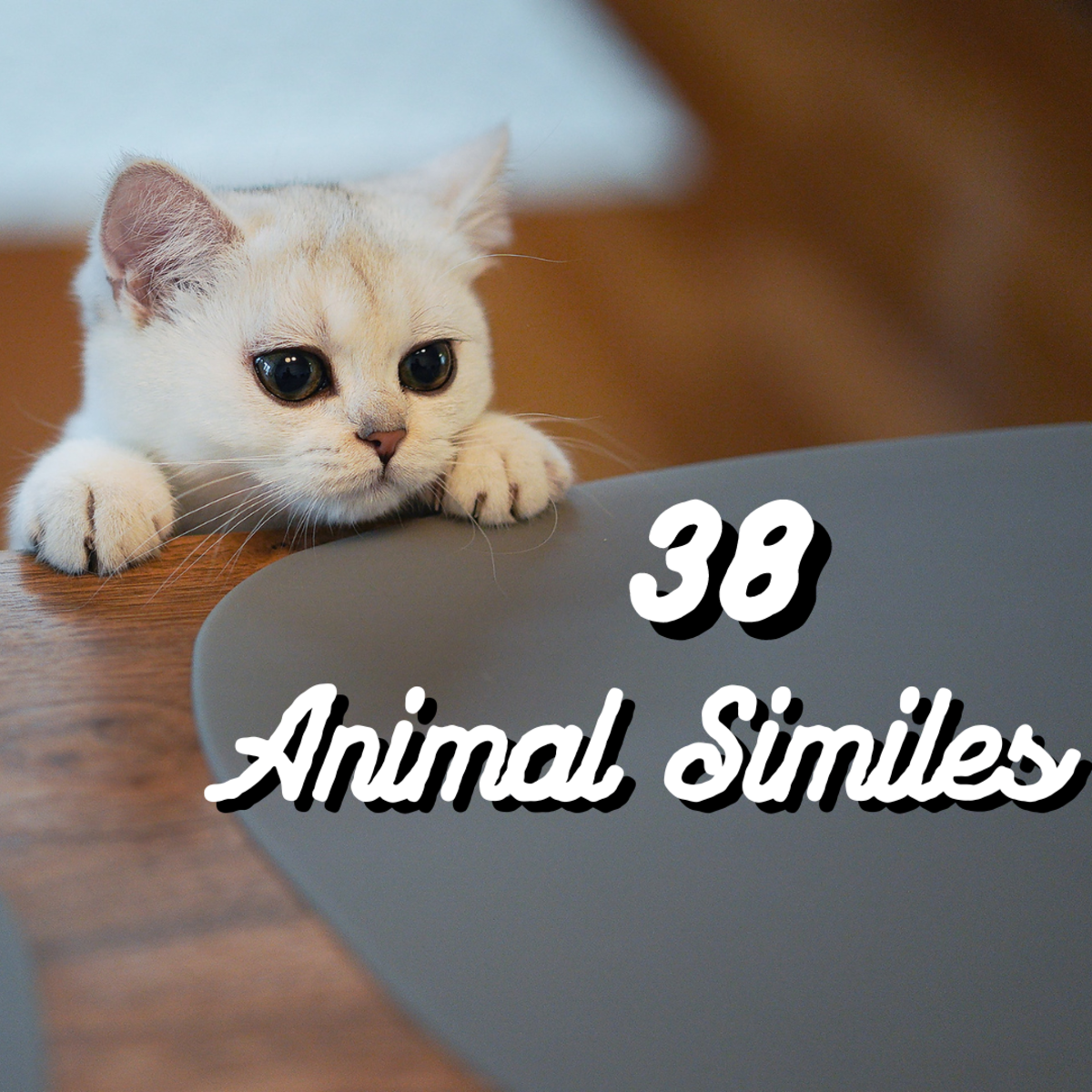 List of Animal Similes