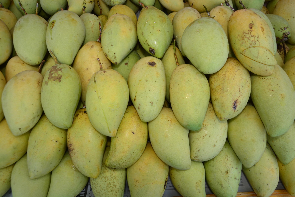 Ripe mangos are waiting to be sold