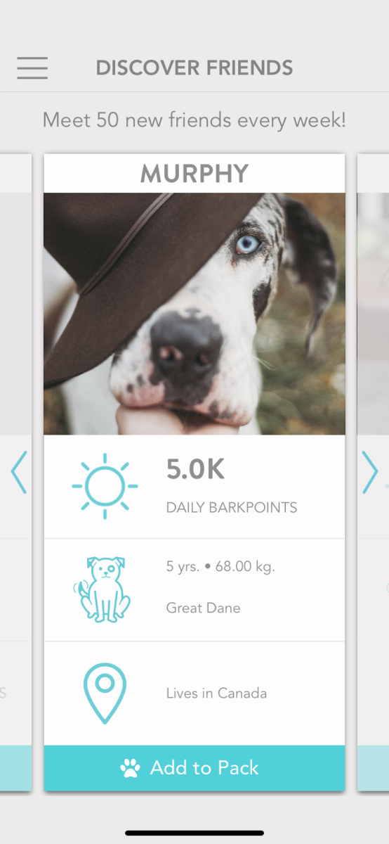 You might chose to add this friend because of Bark Point achievement, breed, or age.  And because the profile photo is stunning! Murphy must have a huge following on Instragram, Facebook or Twitter. 