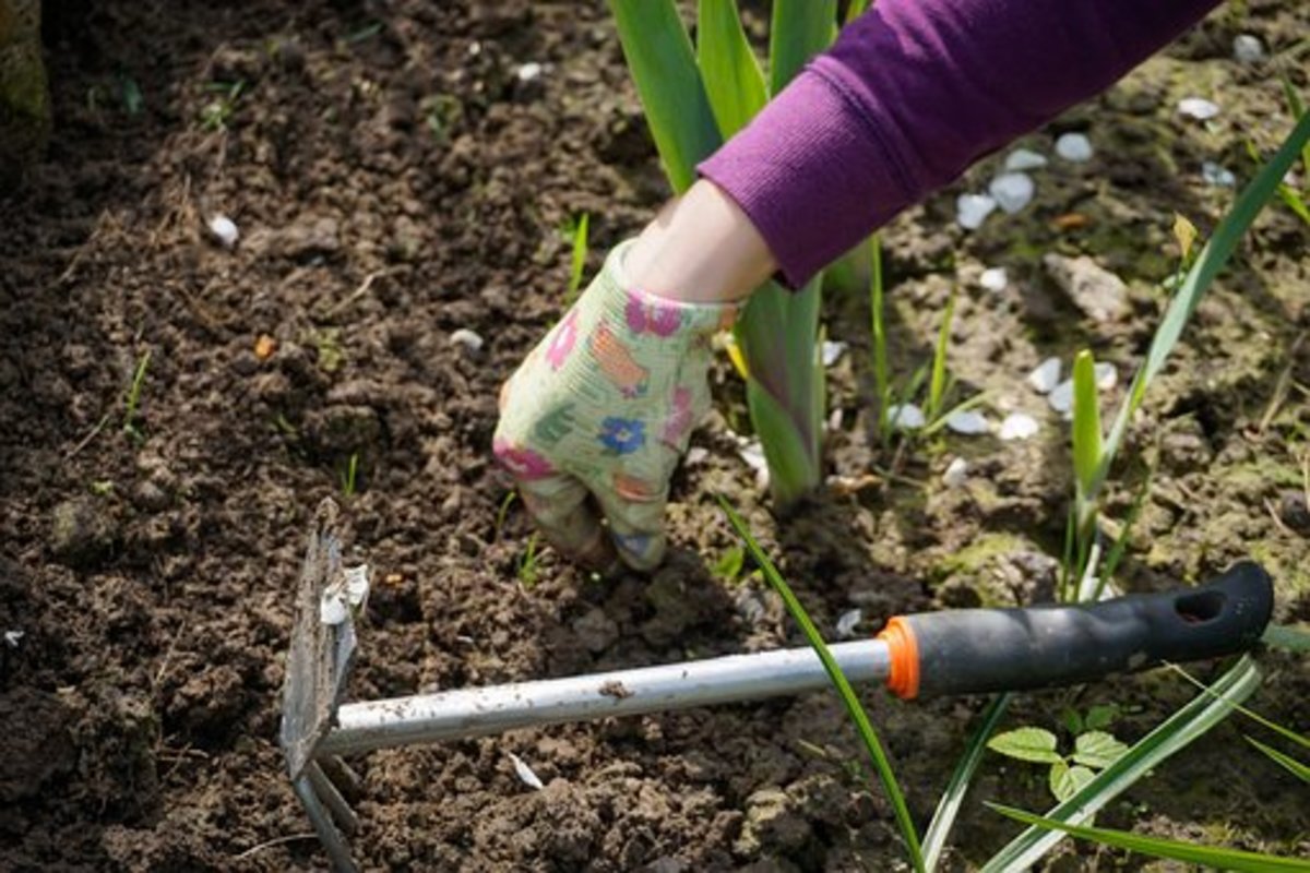 10-essential-tools-to-use-for-gardening-complete-guide