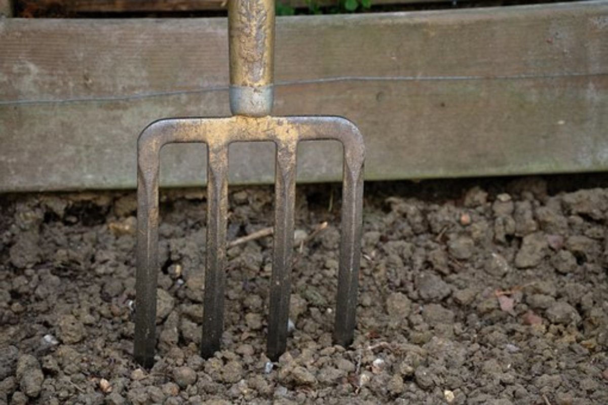 10-essential-tools-to-use-for-gardening-complete-guide