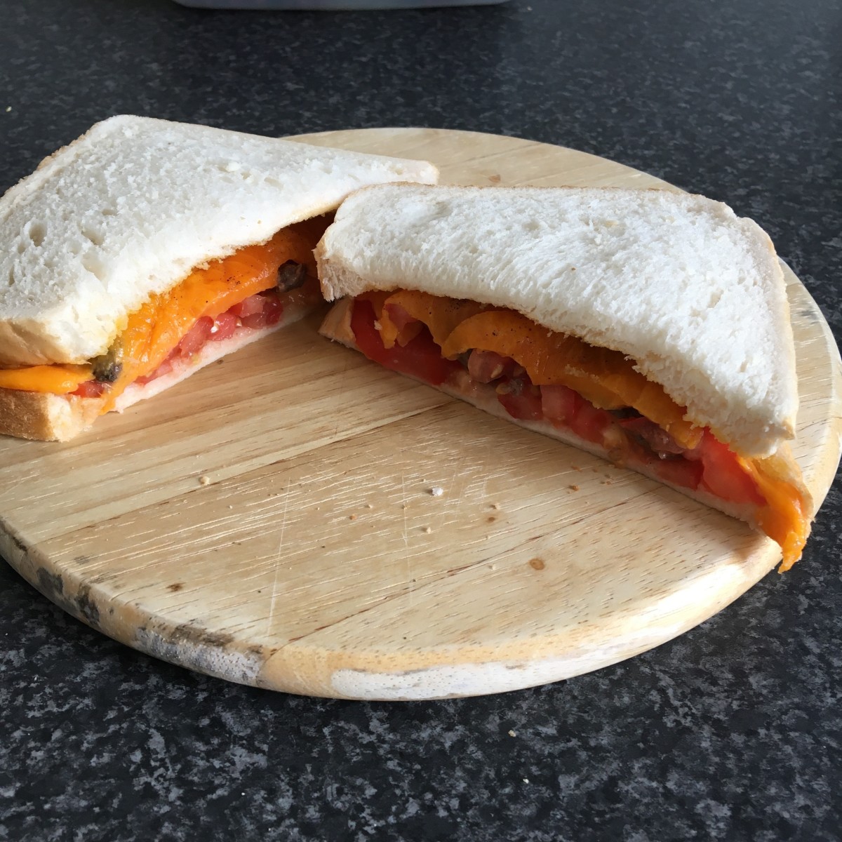Wild goose breast, cheese and tomato sandwich