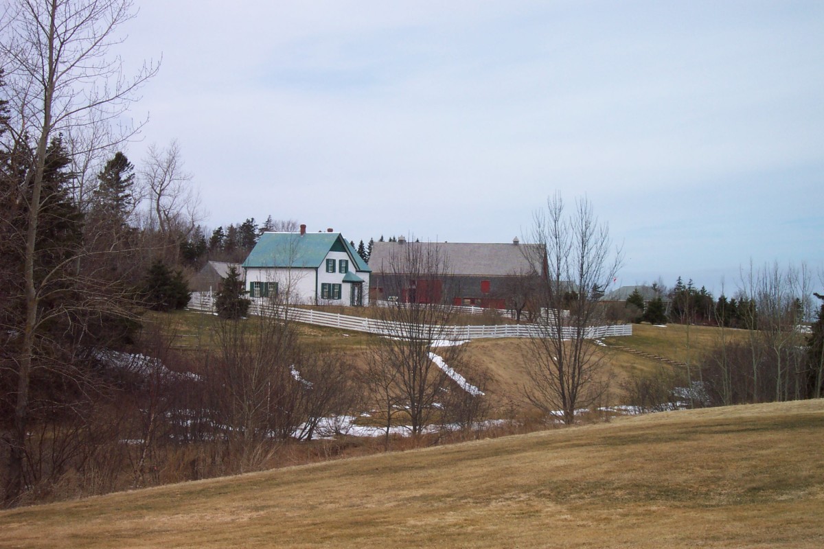 Image: Field Overlooking Green Gables House and Outbuildings