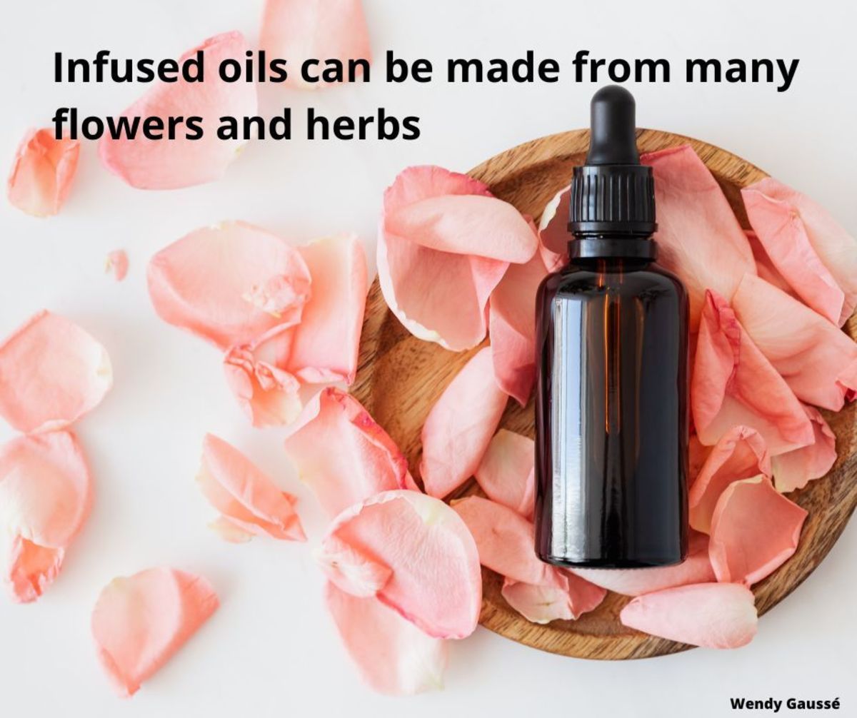 How to Make Macerated Oils HubPages