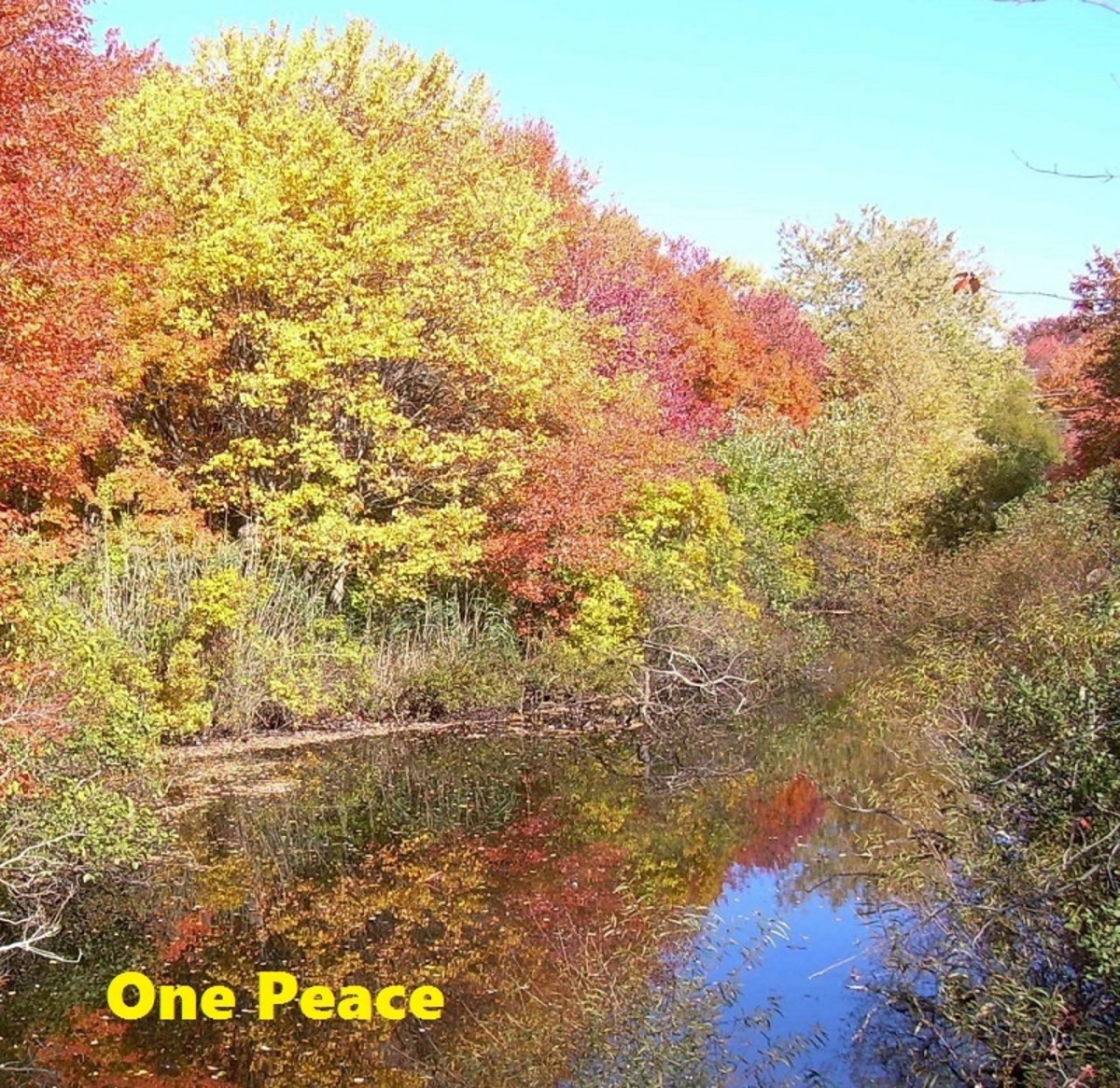 One Peace