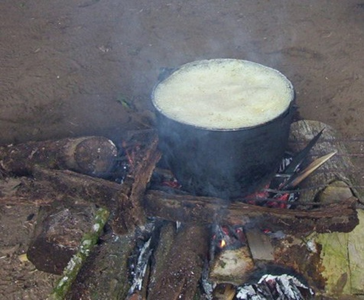 Ayahuasca cooking in the Loreto region of Peru — By Heah at English Wikipedia — Transferred from en.wikipedia to Commons
