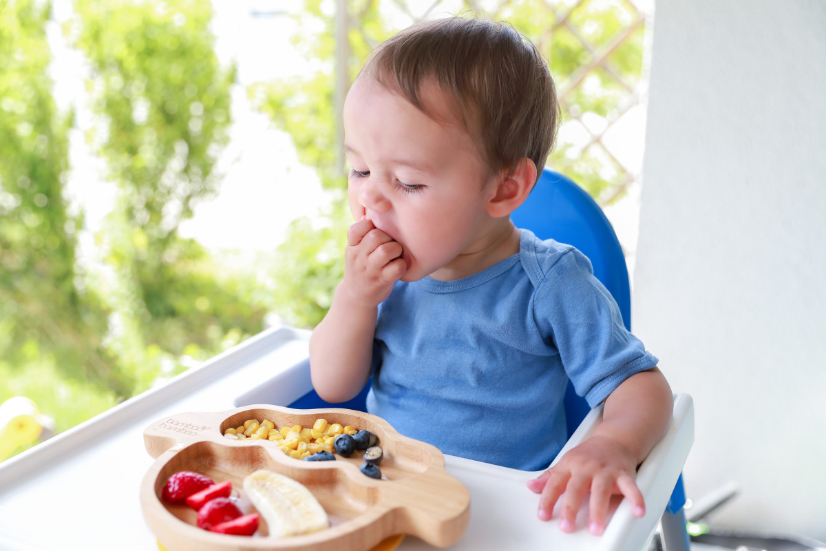 Baby eating Fruits Diary