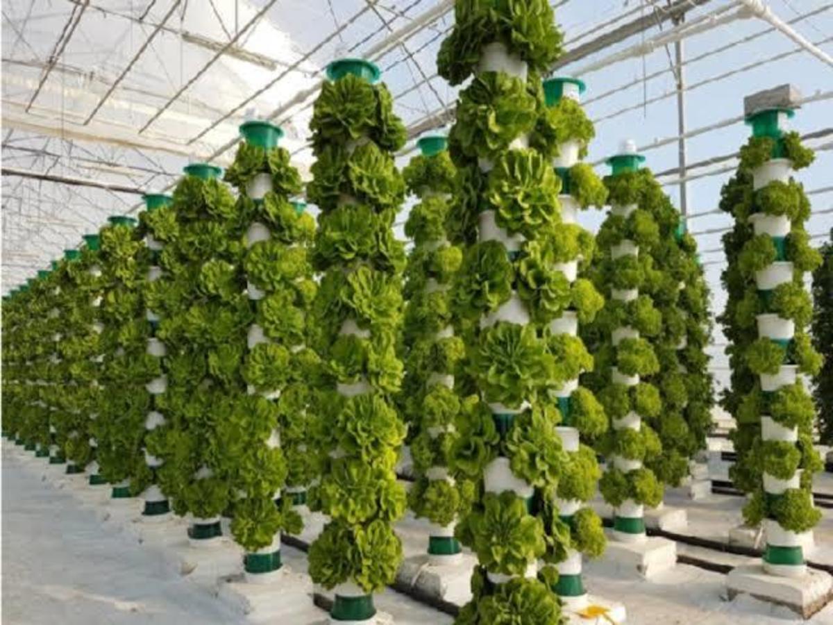Vertical Farming Technology 