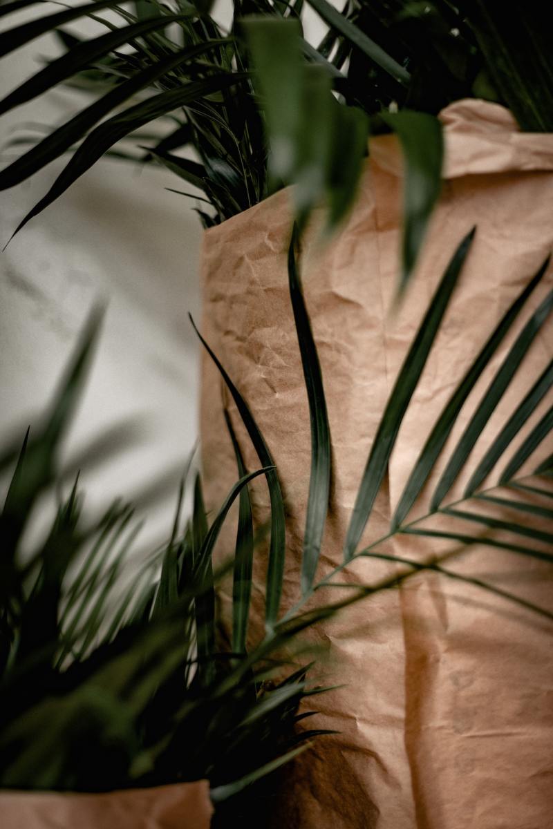 Wrap plants in brown paper bags to protect them from the cold. 