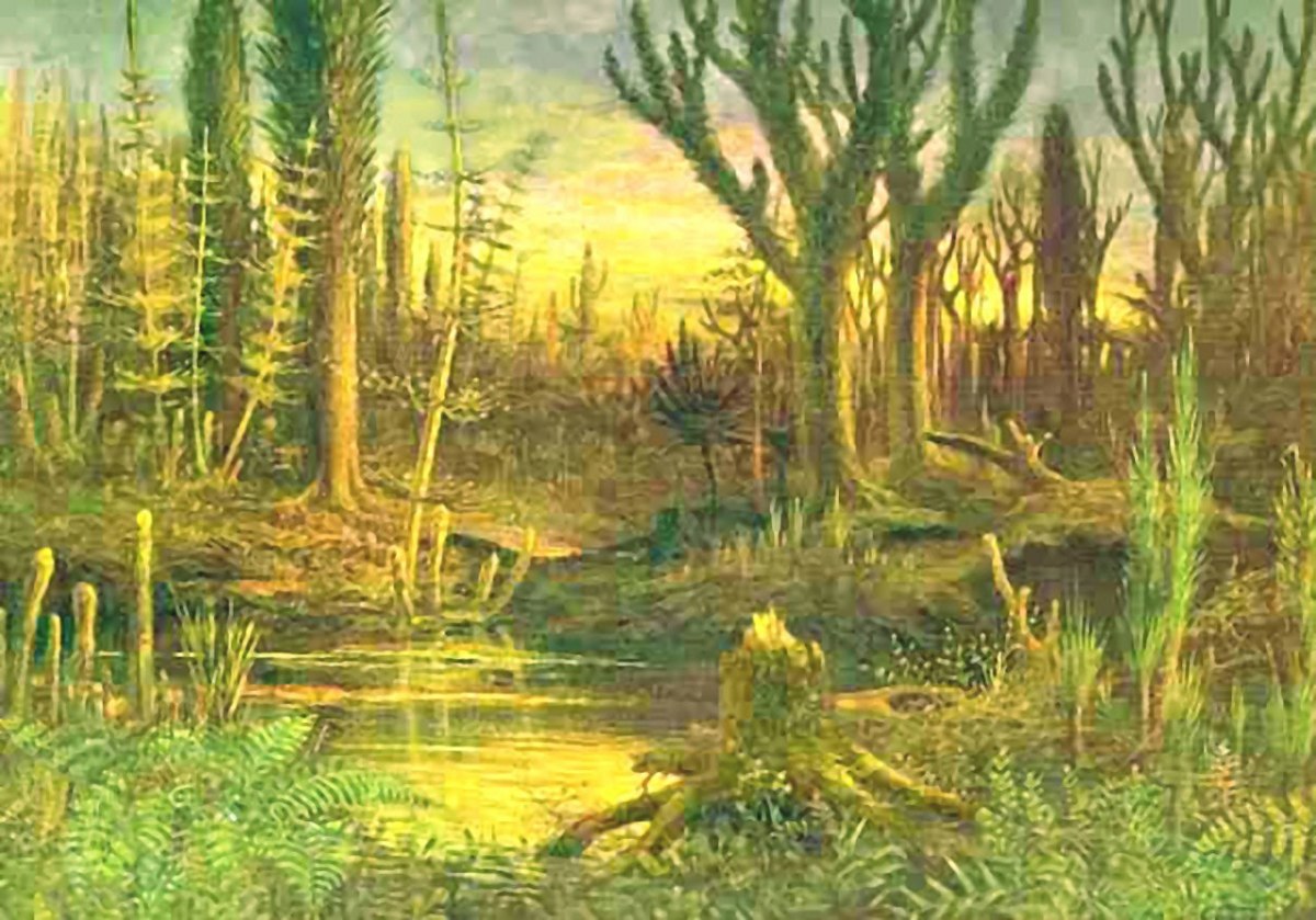 Artist's reconstruction of a Devonian forest