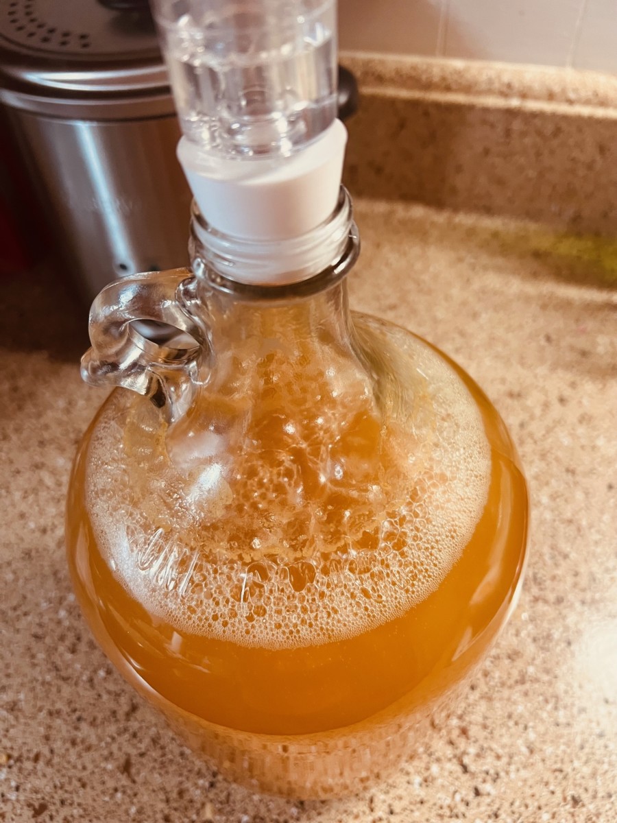 My own batch of mead fermenting away!