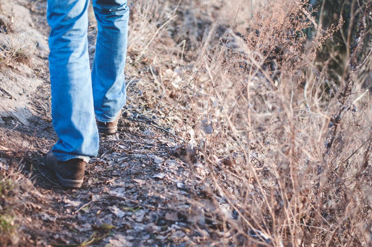 Take a meditational walk to forge the path you wish to tread.